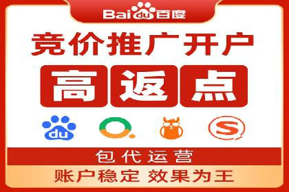 精准投放，高效转化：关键词竞价排名案例解析